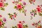 Ivory-Pink-Multi Rayon Modal Floral Printed Stretch Spandex Jersey Knit Fabric By the Yard
